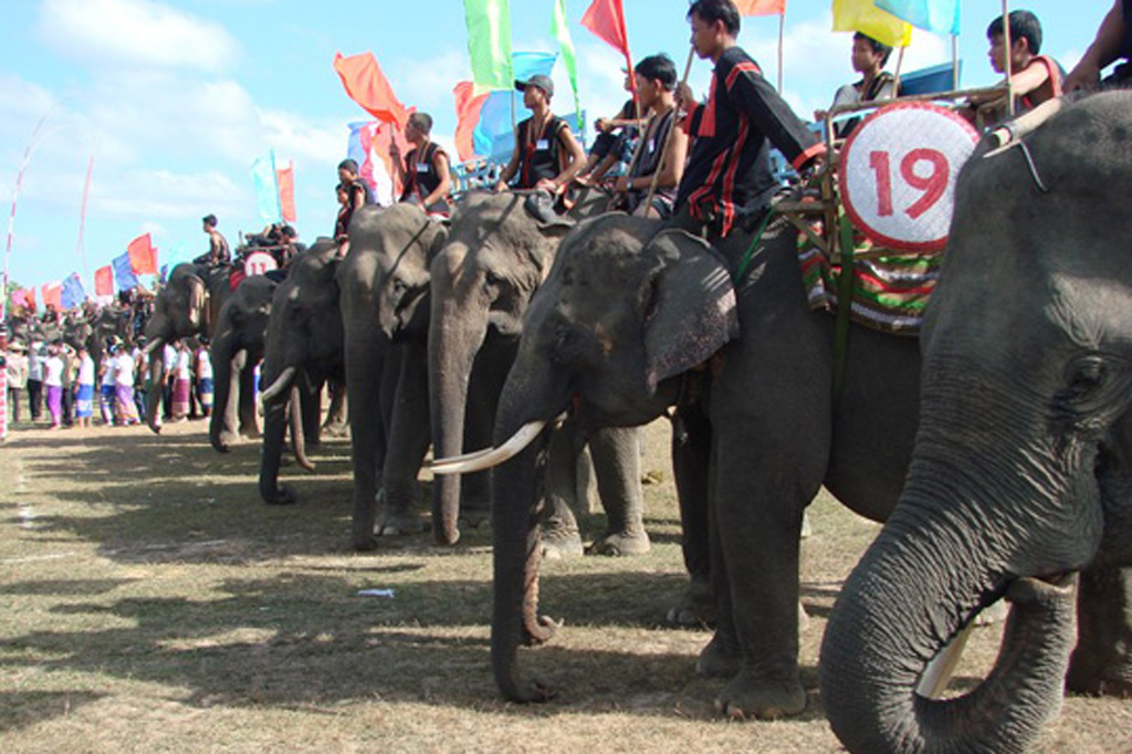 Come To Buon Don Elephant Racing 2019