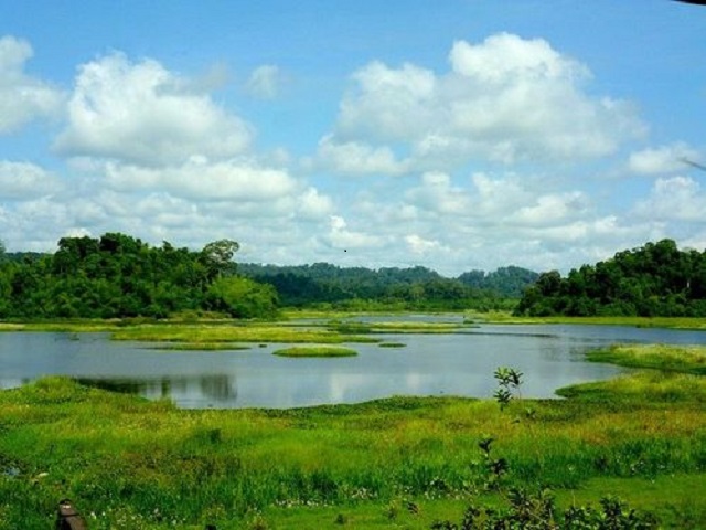 Discover Bau Sau (Cat Tien National Park) - The heart of the forest
