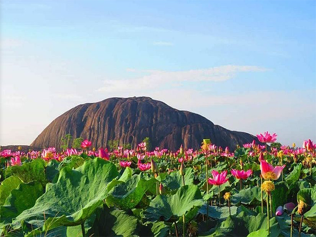 Impressive scenery of the homeland Phu Dien Dong Nai