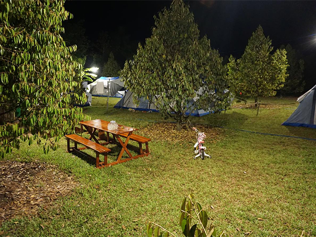 Experience vacation tourism at Orchard Luxury Tent
