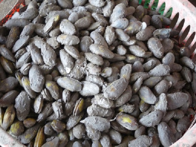 Specialties carp cashew season Phuoc An