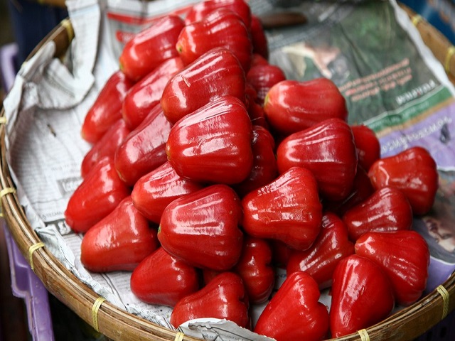 Red Plum An Phuoc - Long Thanh