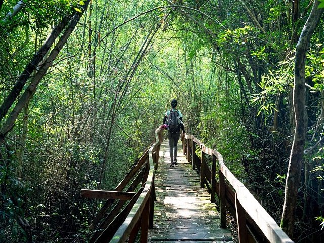 Du lịch “không túi ni lông” – thương hiệu của rừng xanh