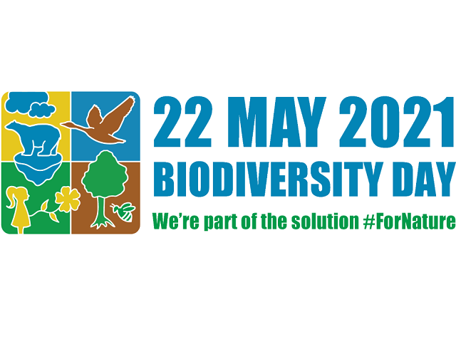 International Day of Biodiversity 2021: We are part of the solution - For Nature