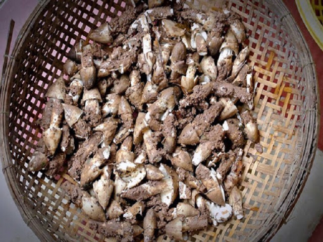 Nature's gift – Dong Nai termite mushroom specialty
