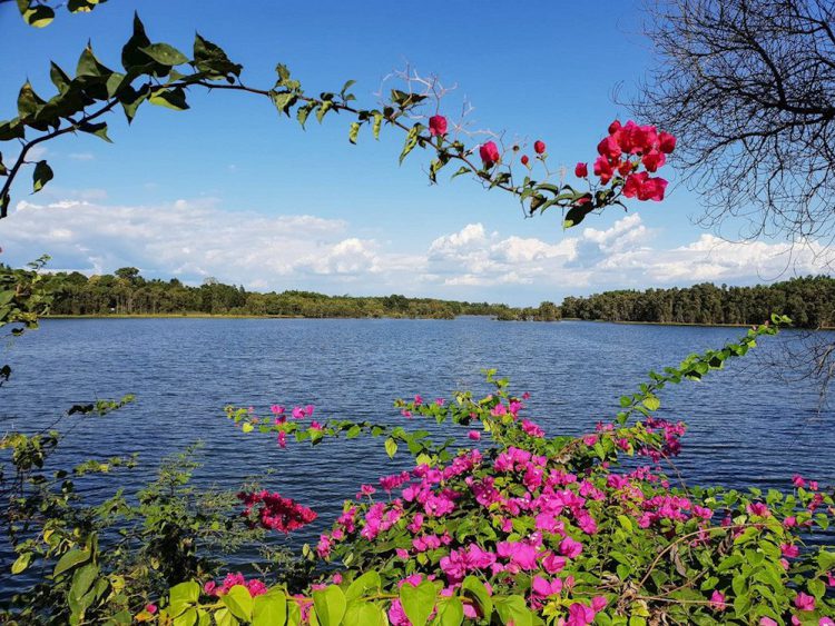 Khám phá cảnh sắc thiên nhiên khó quên tại hồ Trị An