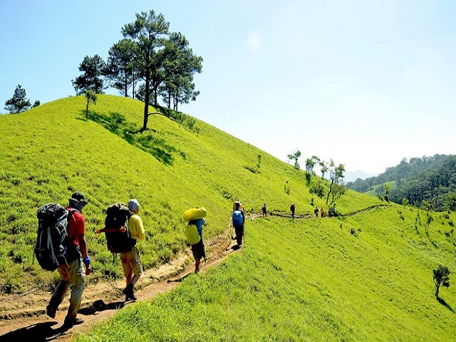 Learn about trekking tourism