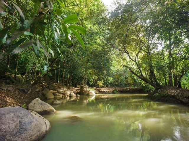 The wild natural beauty of the seven-acre rocky mountain in Dinh Quan