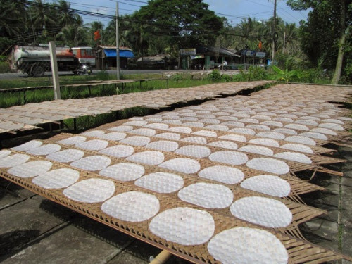 Traditional rice paper making in Vinh Cuu district