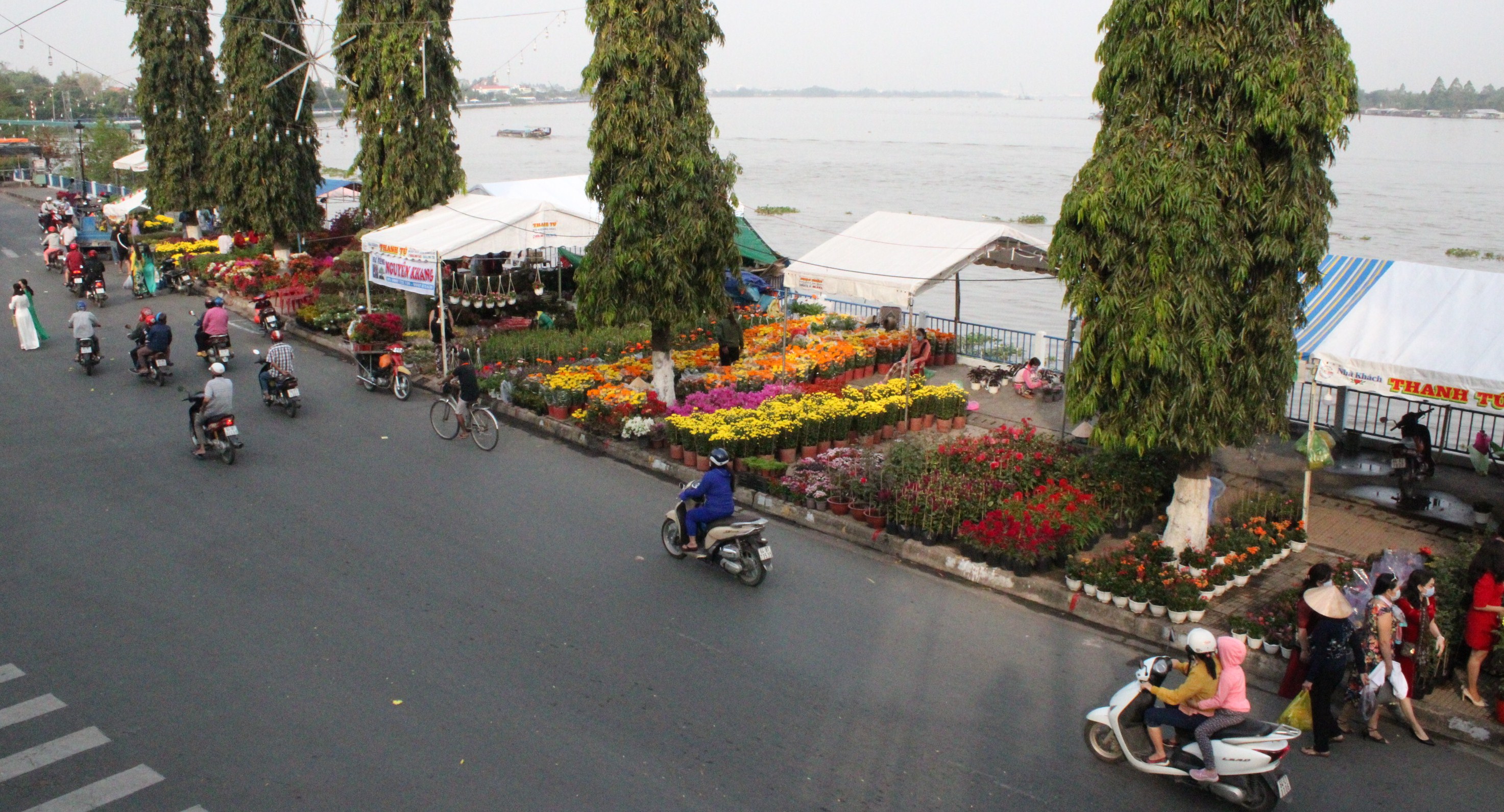 Chợ hoa, kiểng thành phố Vĩnh Long - Điểm đến hấp dẫn  cho du khách tham quan