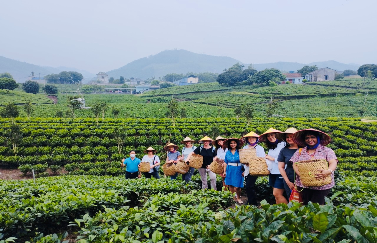 Hợp tác xã Trà và Du lịch cộng đồng Tiến Yên - Đơn vị đầu tiên triển khai  dịch vụ trải nghiệm về văn hóa trà