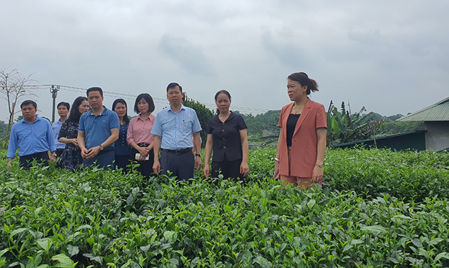 Triển khai chính sách hỗ trợ xây dựng Điểm du lịch cộng đồng tại  xã Tân Cương, thành phố Thái Nguyên