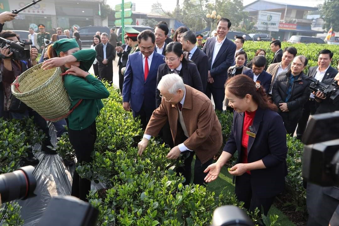 Tổng Bí thư Nguyễn Phú Trọng thăm Hợp tác xã chè Hảo Đạt, xã Tân Cương, thành phố Thái Nguyên